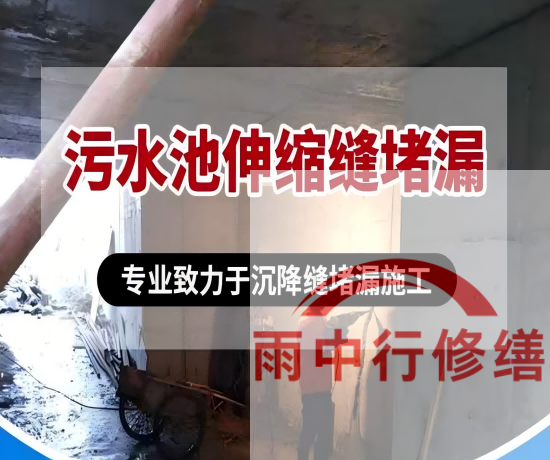 珠海2026年高分子防水卷材成高端市场主流，光伏屋面需求爆发