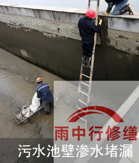 珠海2026年防水龙头半月两次涨价，行业格局重塑信号